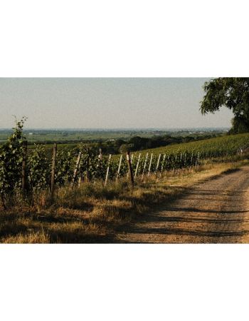 Frühlingserwachen-Tour 11. April 2026 - 10-14 Uhr