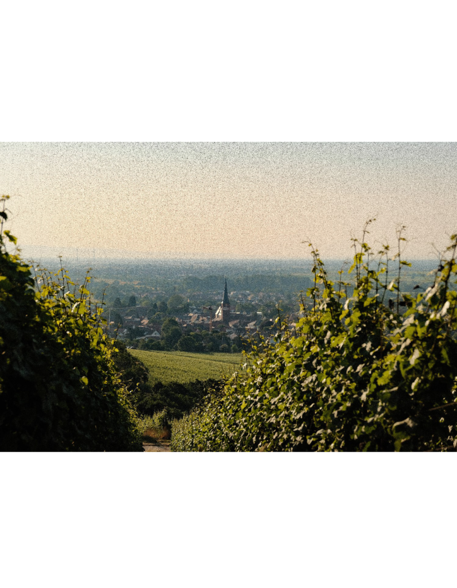 Produktphoto
