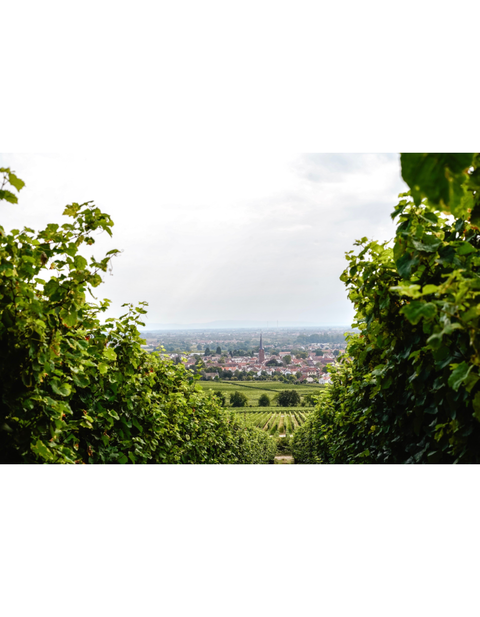 Produktphoto